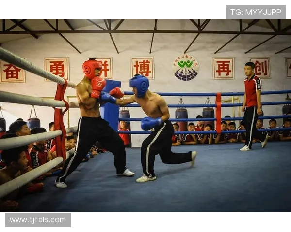 从基础到实战的拳击训练心得与体能技术心态全面提升之路实践总结分享录